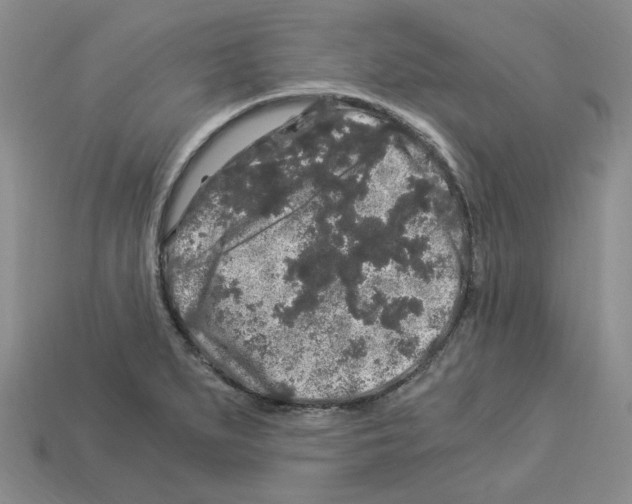 X0000112901279200910021427