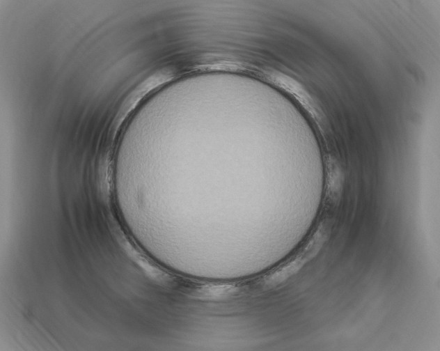 X0000112901282200910021427