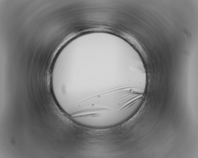 X0000112901284200910021427