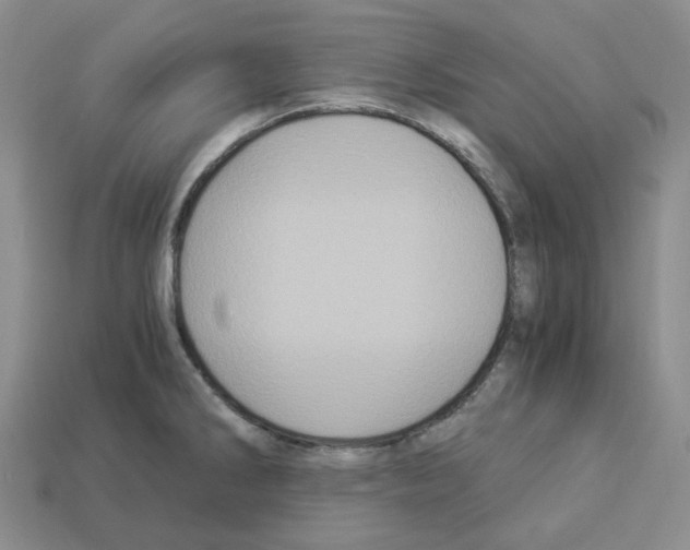 X0000112901286200910021427
