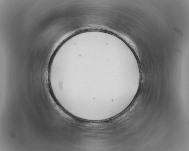 X0000112901287200910021427
