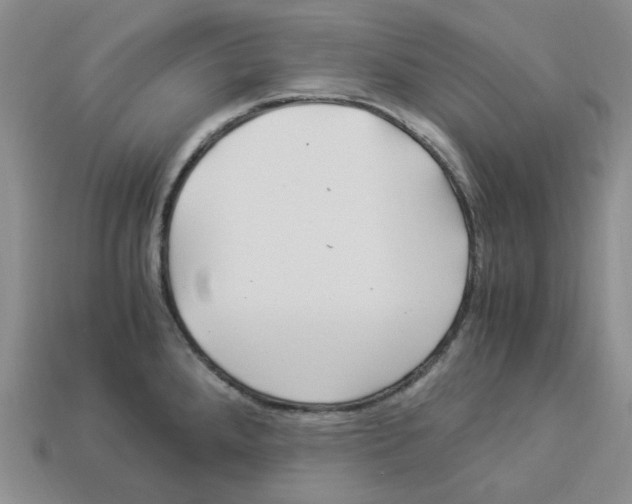 X0000112901288200910021427