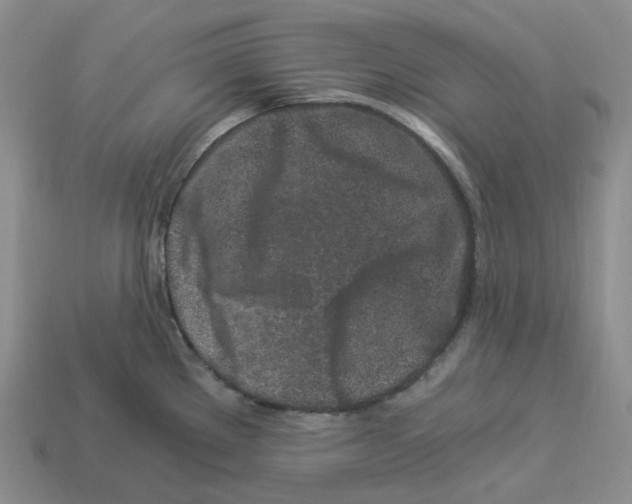 X0000112901289200910021427
