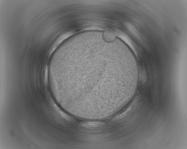 X0000112901290200910021427