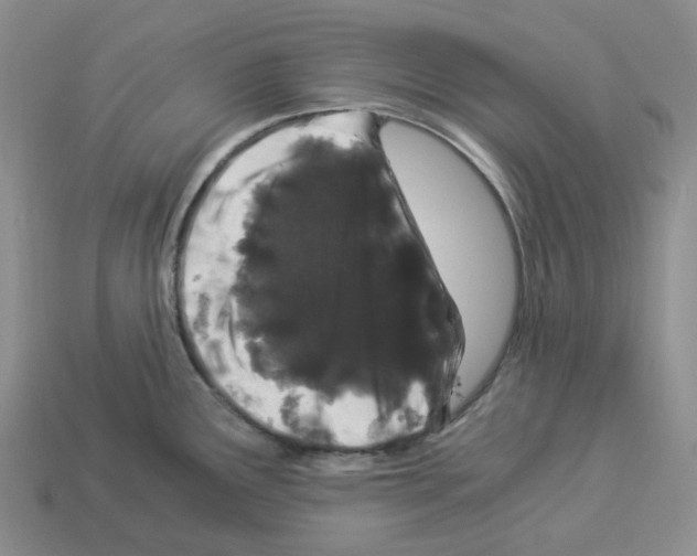 X0000112901291200910021427