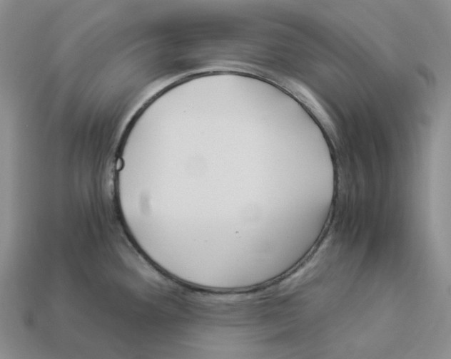 X0000112901292200910021427