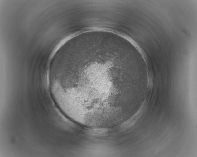 X0000112901294200910021427