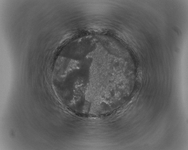 X0000112901297200910021426