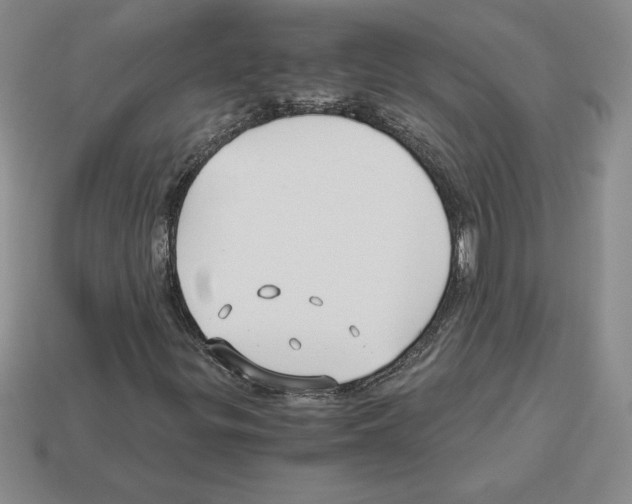 X0000112901299200910021426