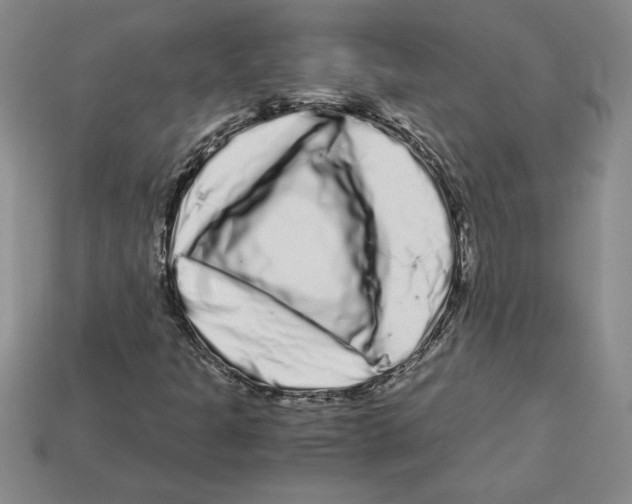 X0000112901301200910021426
