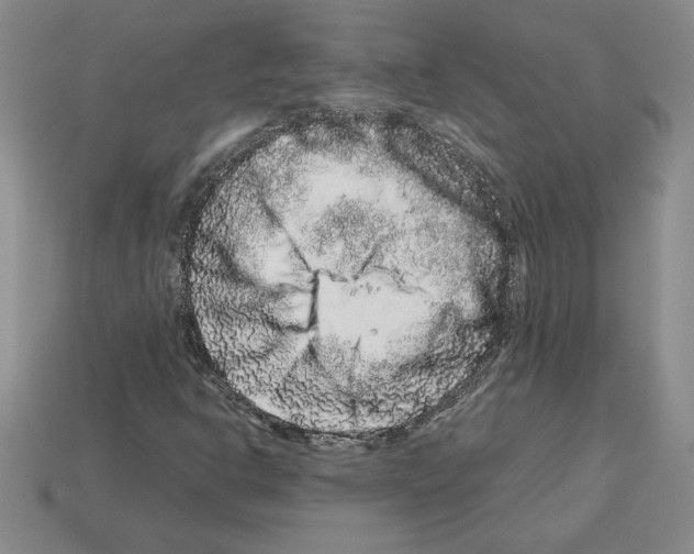 X0000112901302200910021426