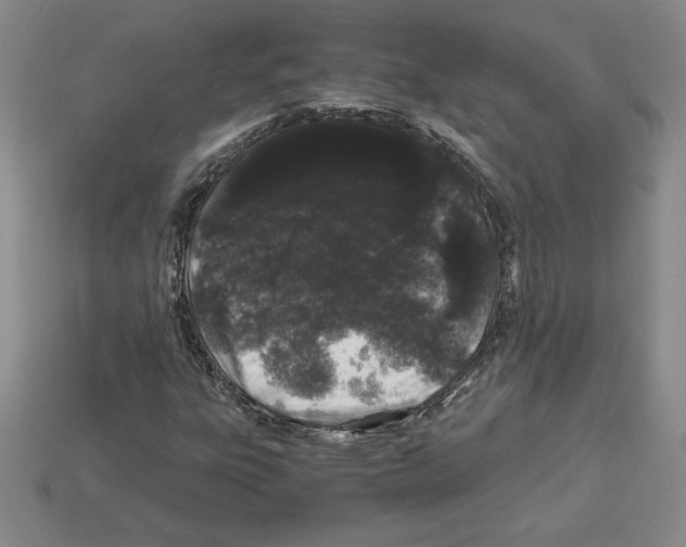 X0000112901303200910021426