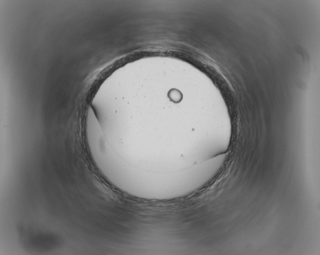 X0000112901304200910021426