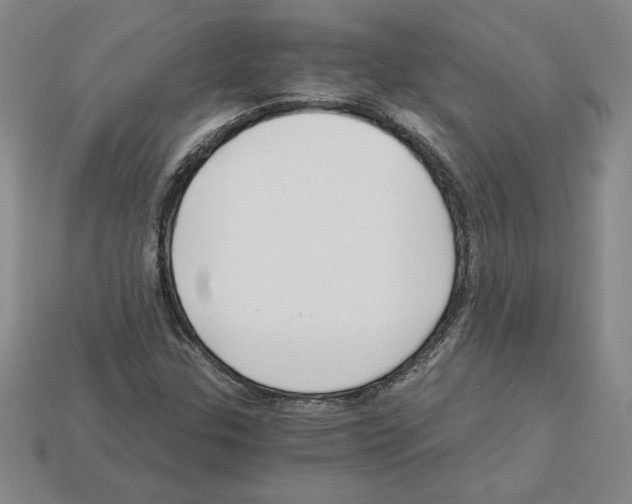 X0000112901307200910021426