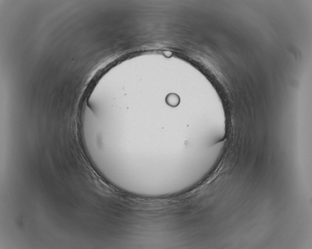 X0000112901308200910021426