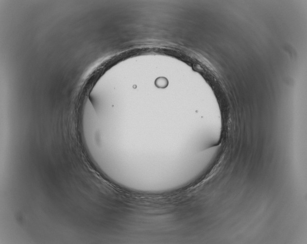 X0000112901310200910021426
