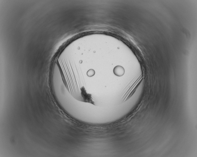 X0000112901312200910021426
