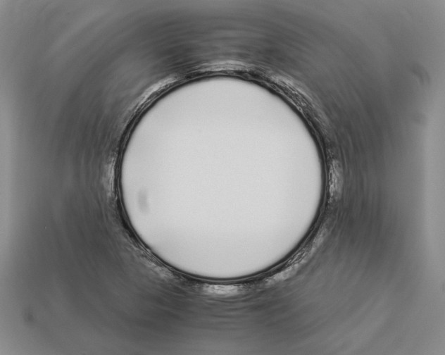 X0000112901313200910021426