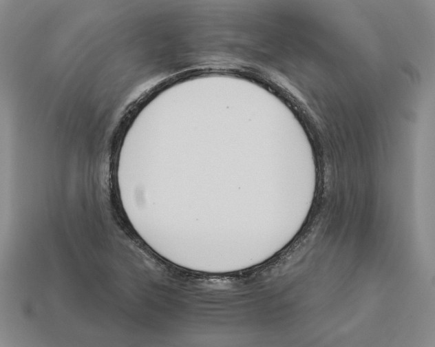 X0000112901315200910021426