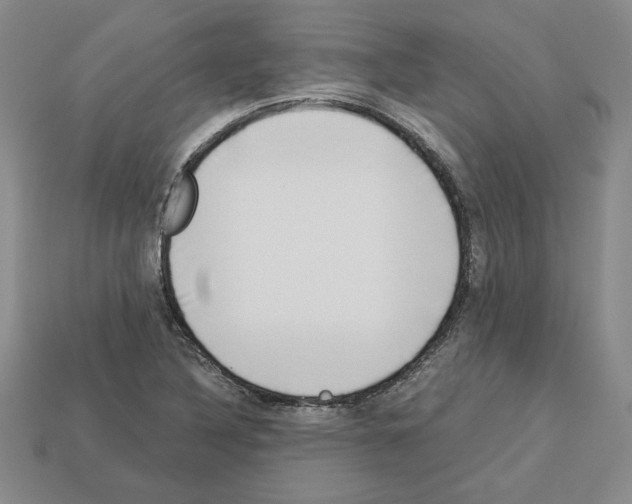 X0000112901316200910021426