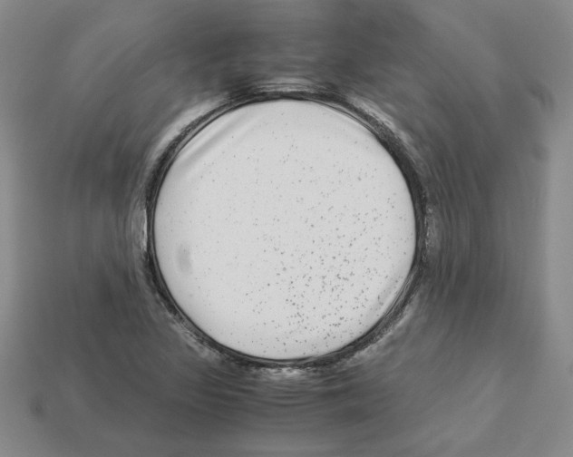 X0000112901317200910021426