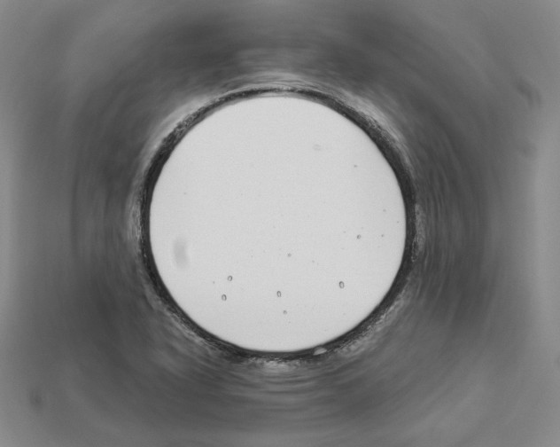 X0000112901318200910021426