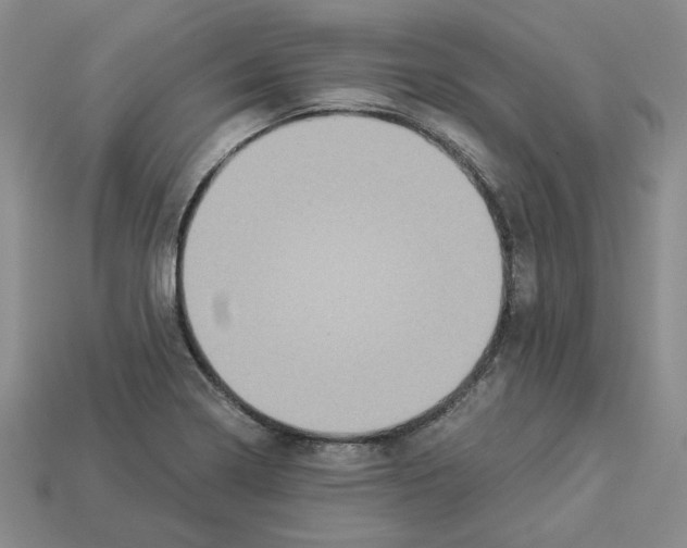 X0000112901322200910021426