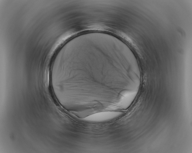 X0000112901323200910021426