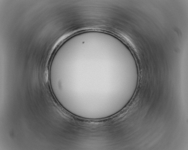 X0000112901324200910021426