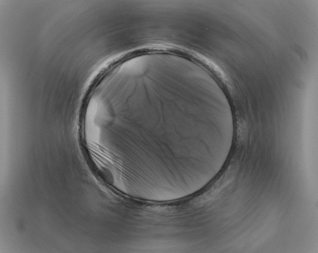 X0000112901327200910021426