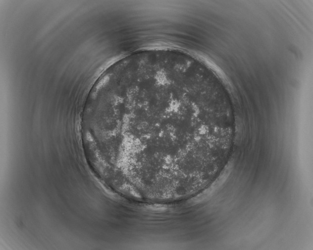 X0000112901329200910021426