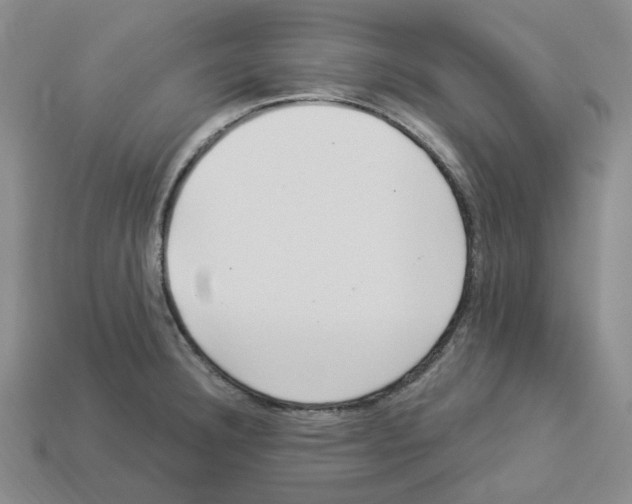 X0000112901332200910021426