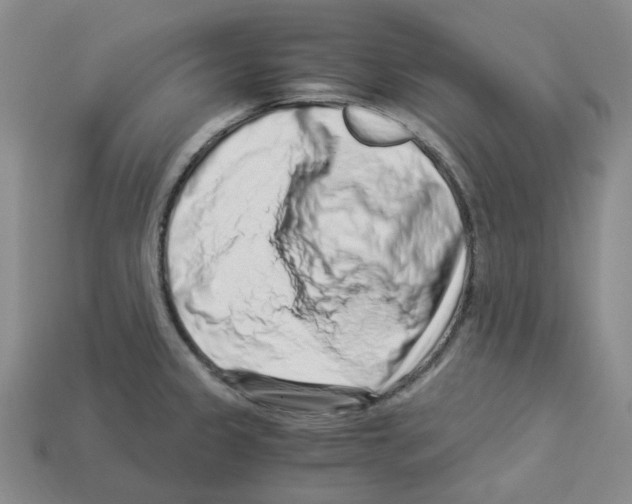 X0000112901333200910021426