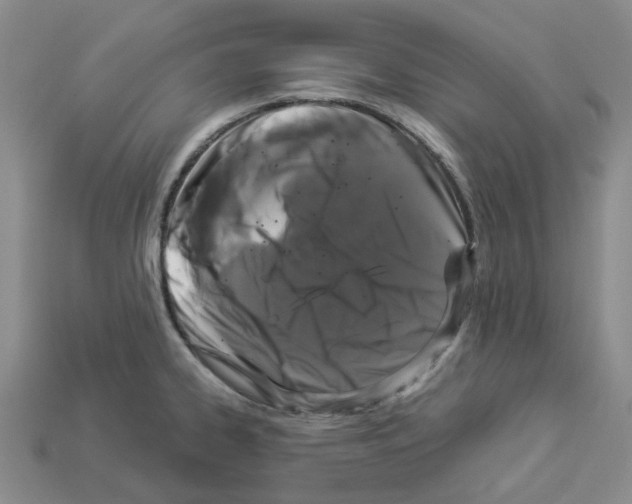 X0000112901334200910021426