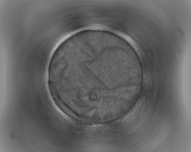 X0000112901335200910021427