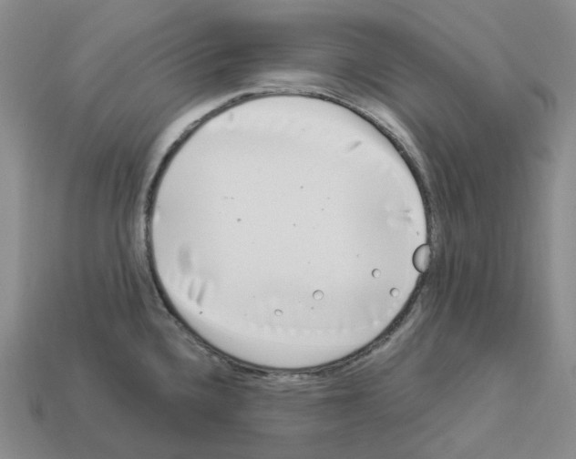 X0000112901336200910021427