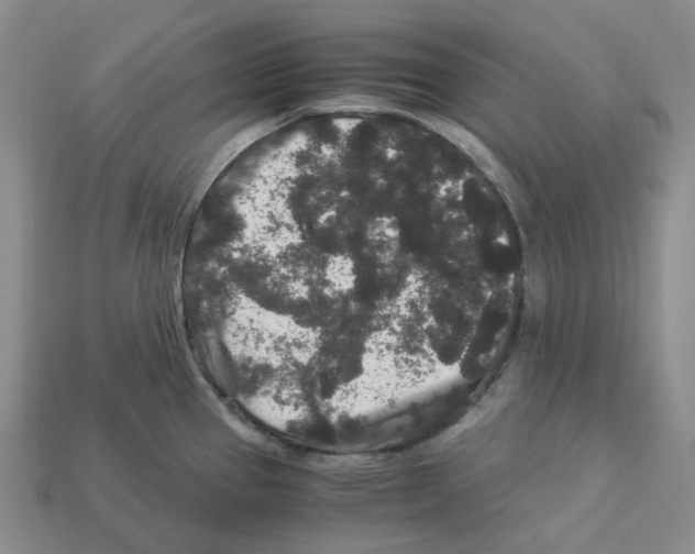 X0000112901337200910021427