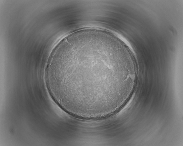 X0000112901338200910021427