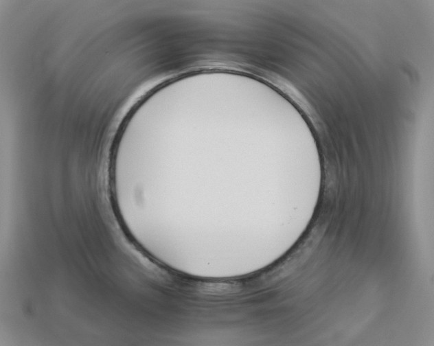 X0000112901339200910021427