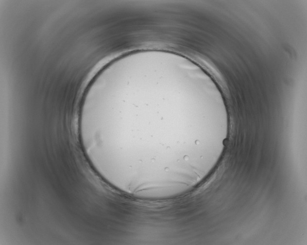 X0000112901340200910021427