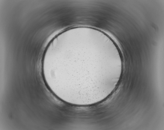 X0000112901341200910021427
