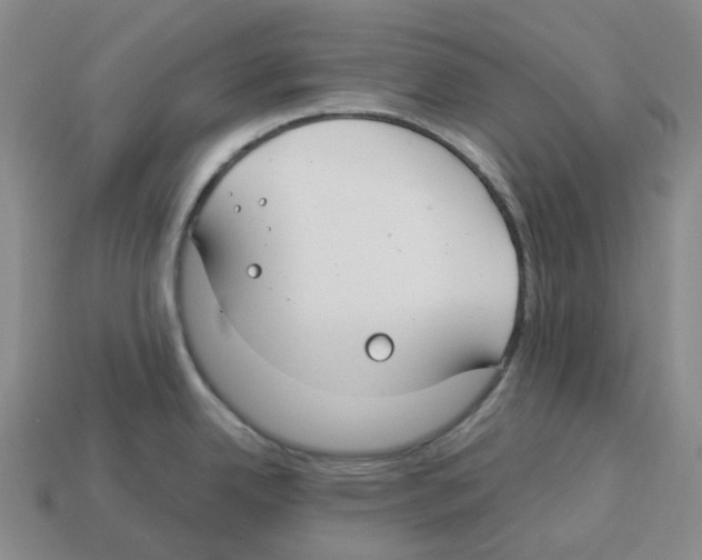 X0000112901342200910021427