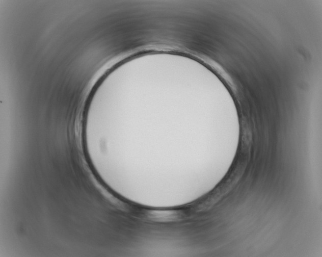 X0000112901343200910021427