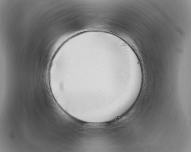 X0000112901344200910021427