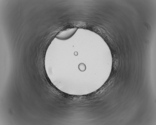 X0000112901345200910021426