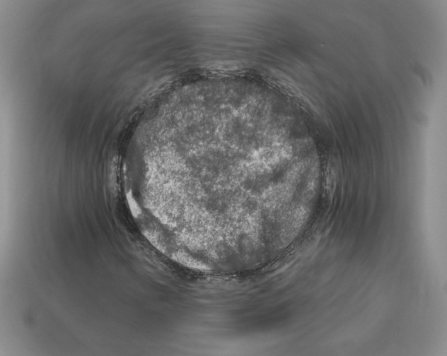 X0000112901346200910021426