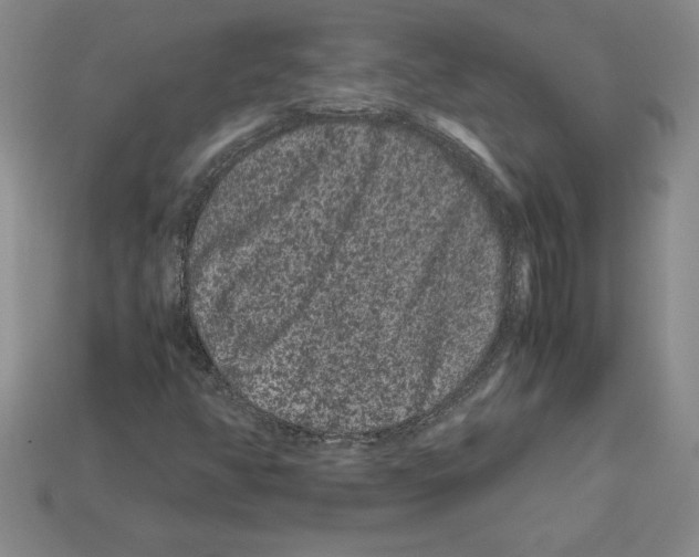 X0000112901350200910021426
