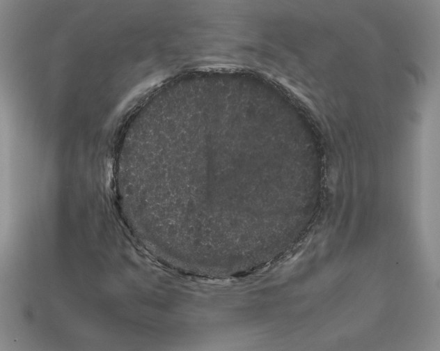 X0000112901351200910021426