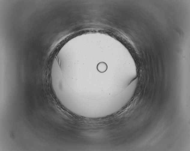 X0000112901352200910021426