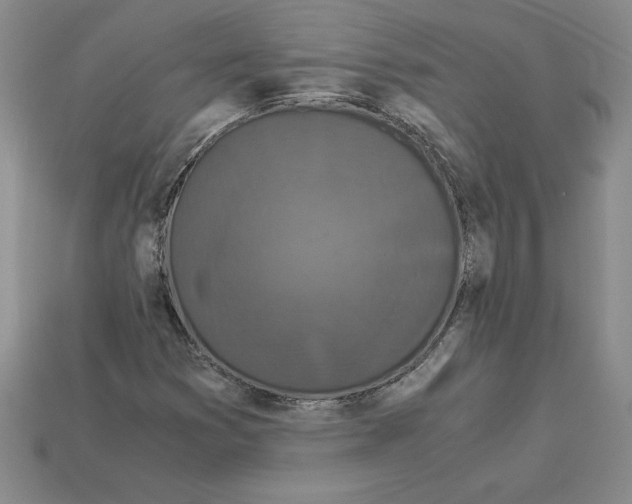 X0000112901353200910021426
